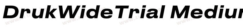 DrukWideTrial Medium字体转换